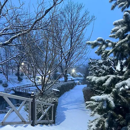 מלון Kateryna פוליאנה