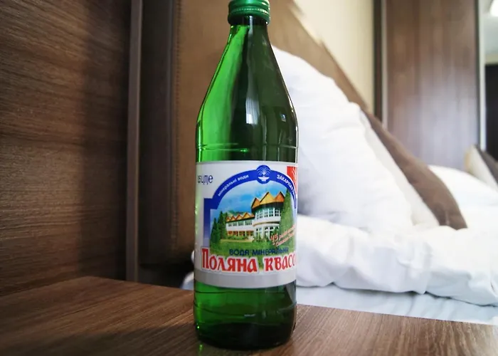 酒店 凯特琳娜酒店 *