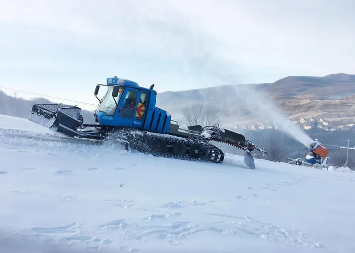 凯特琳娜酒店 * 波利亚纳