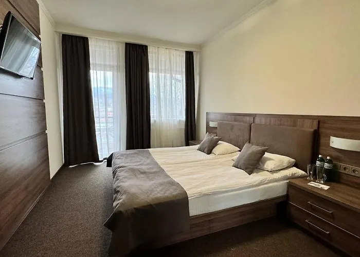 酒店 凯特琳娜酒店 *