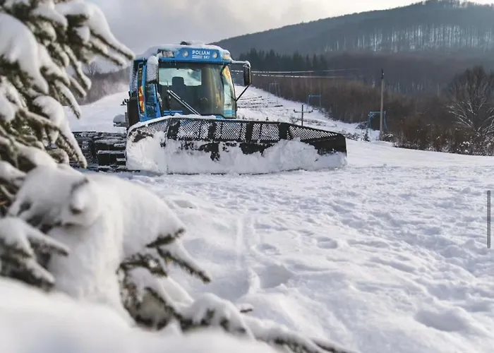 凯特琳娜酒店 酒店 *