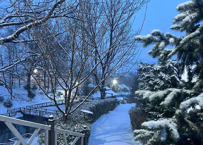 酒店 凯特琳娜酒店 波利亚纳